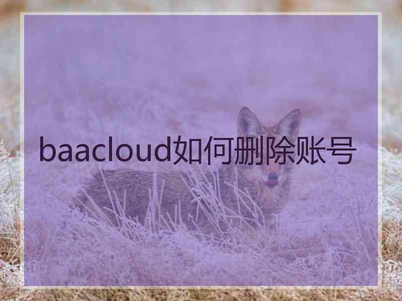 baacloud如何删除账号